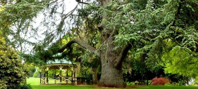 Wombat Hill Gardens - Daylesford BNB Travel Guide
