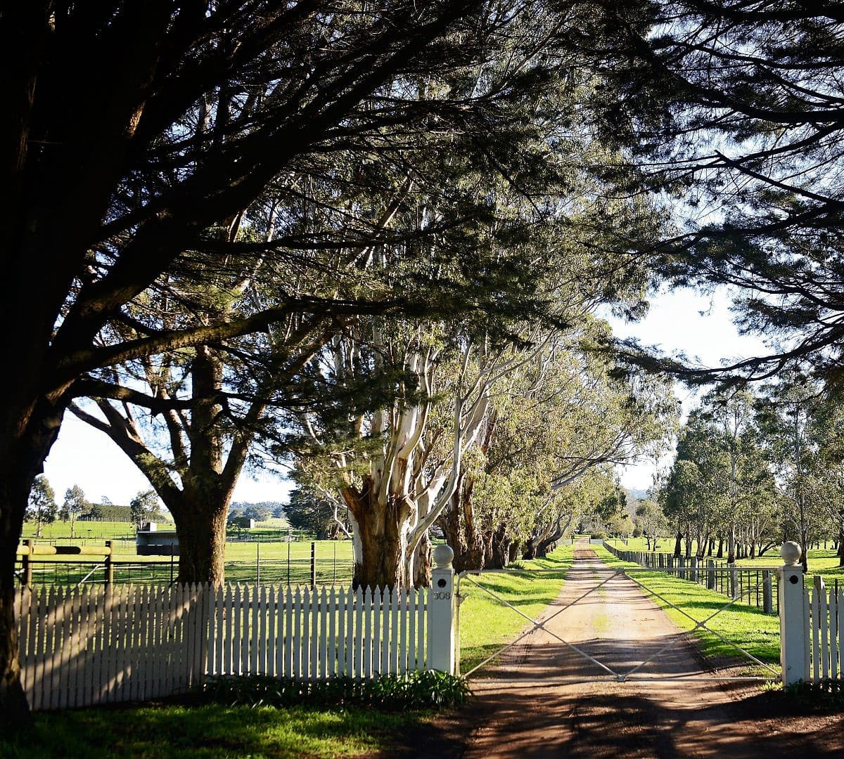 Parkside Winery and Farm - Daylesford BNB Travel Guide